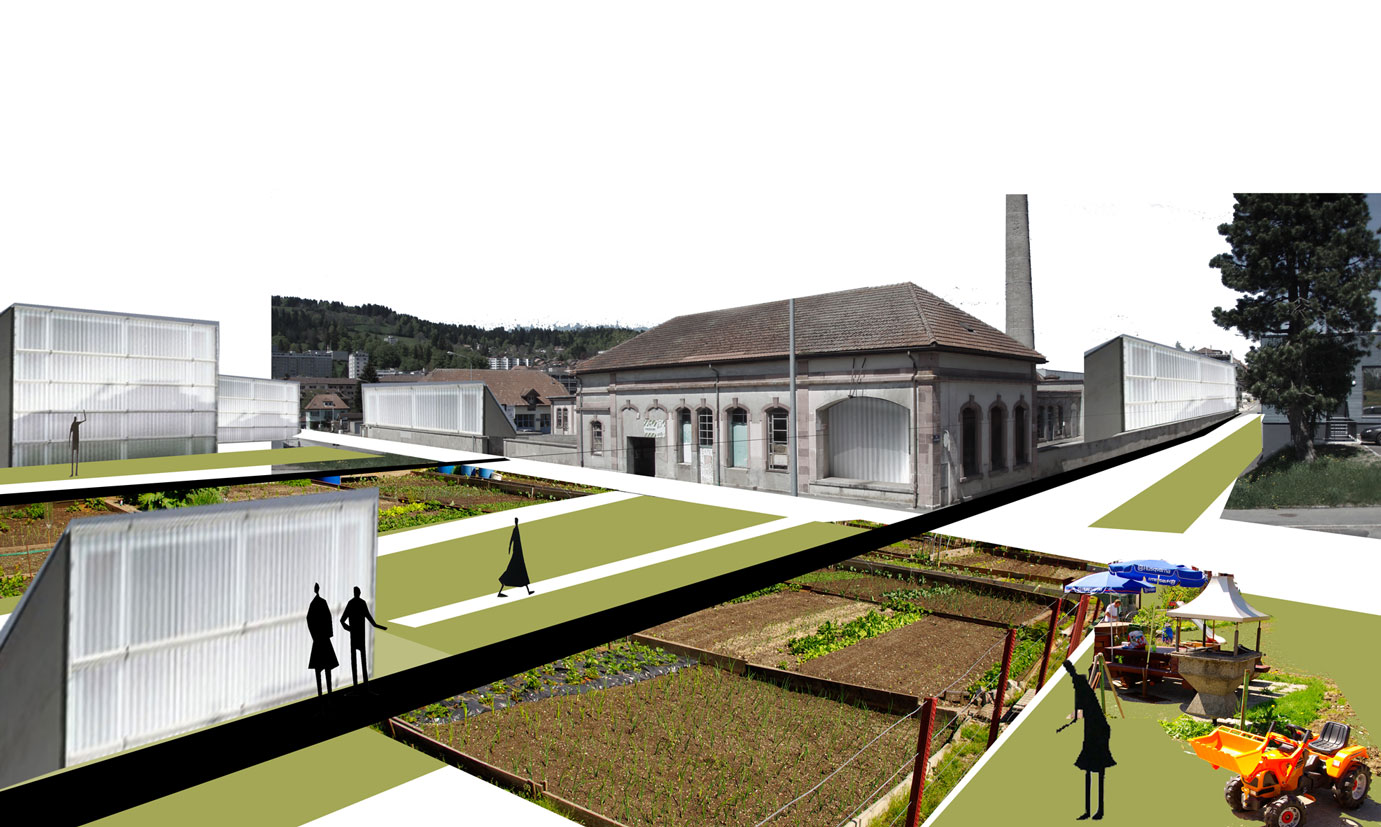 chaux02WEB
